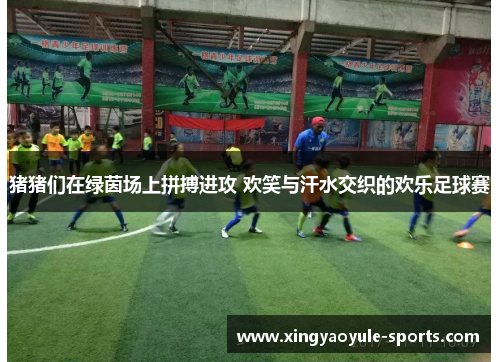 猪猪们在绿茵场上拼搏进攻 欢笑与汗水交织的欢乐足球赛
