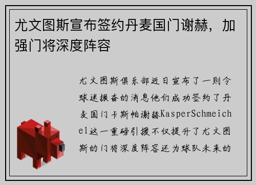 尤文图斯宣布签约丹麦国门谢赫，加强门将深度阵容